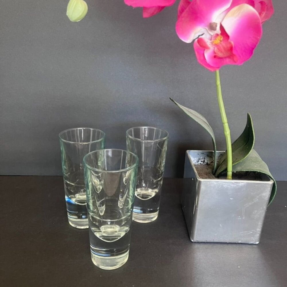 Set Of 3 Vintage Carlo Moretti Hand Blown Measured Shot Glasses 1980s Italy